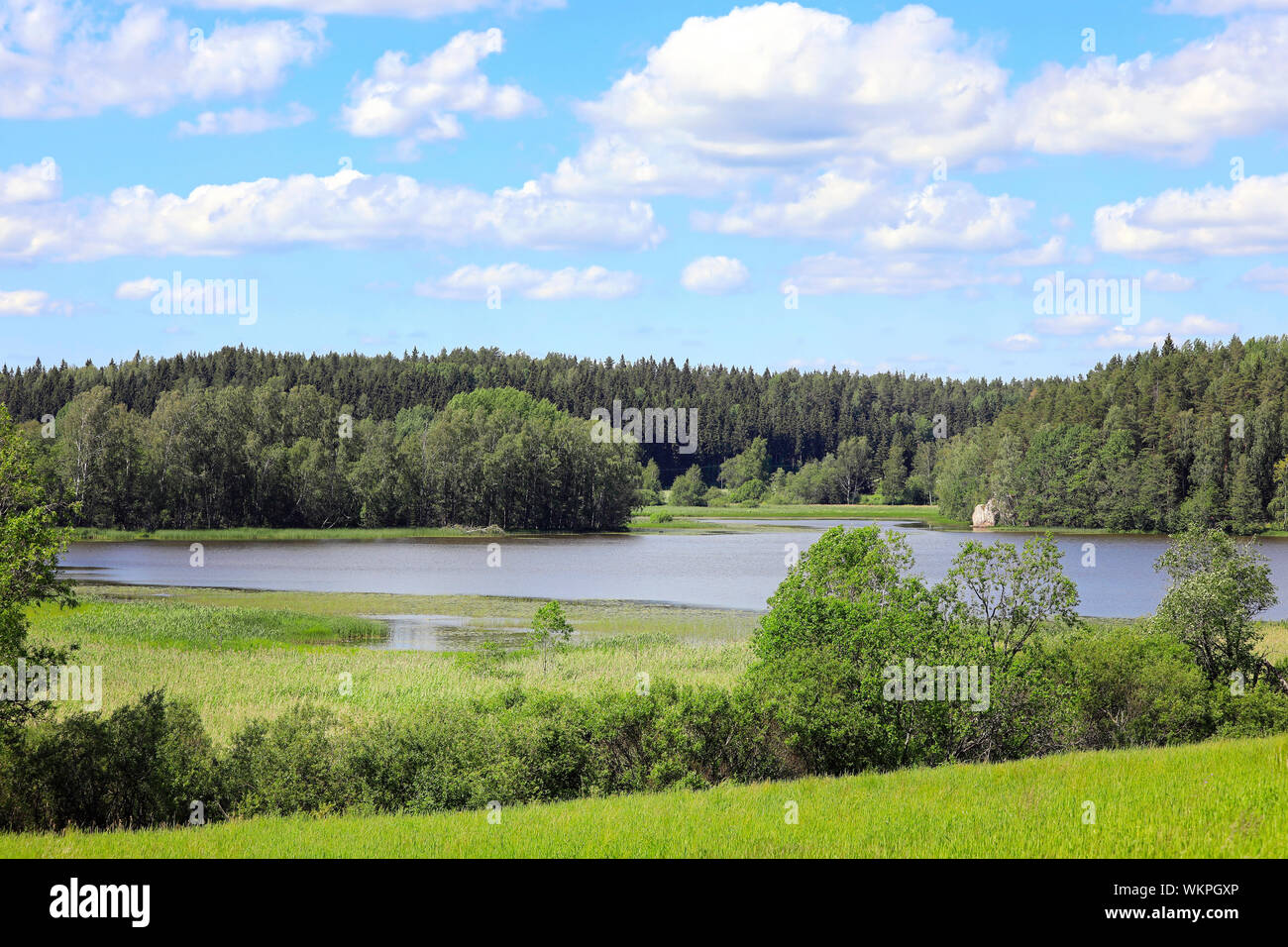 Rural lake avec la forêt, de l'arbuste et de vertes prairies sur une belle journée d'été avec ciel bleu et nuages Fairweather. Juin 2019. Hirsijärvi le lac, Salo, F Banque D'Images