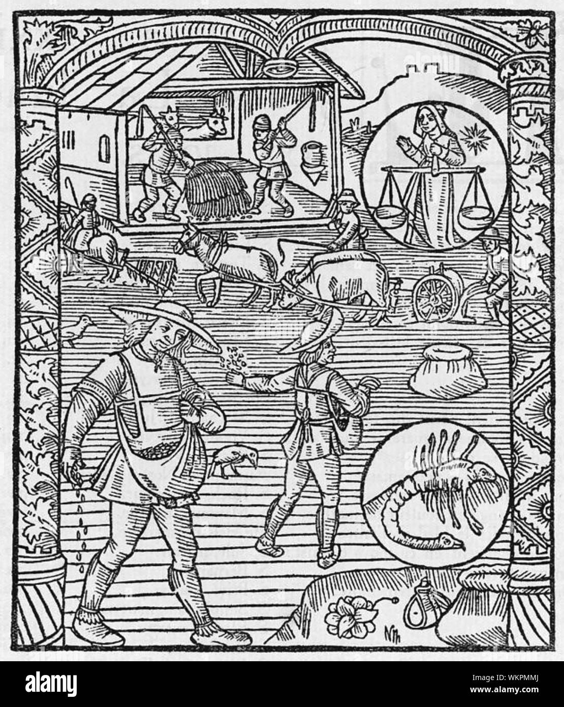 Septembre une 16e siècle gravure sur bois montrant les labours et la propagation des semences pour la prochaine récolte Banque D'Images