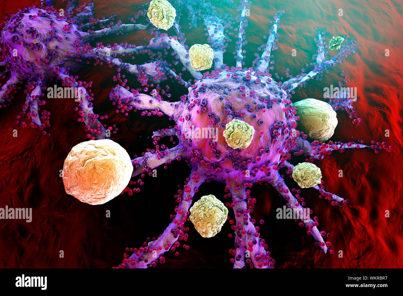 Illustration en rendu 3D des cellules T du système immunitaire à attaquer les cellules de cancer de plus en plus. Banque D'Images