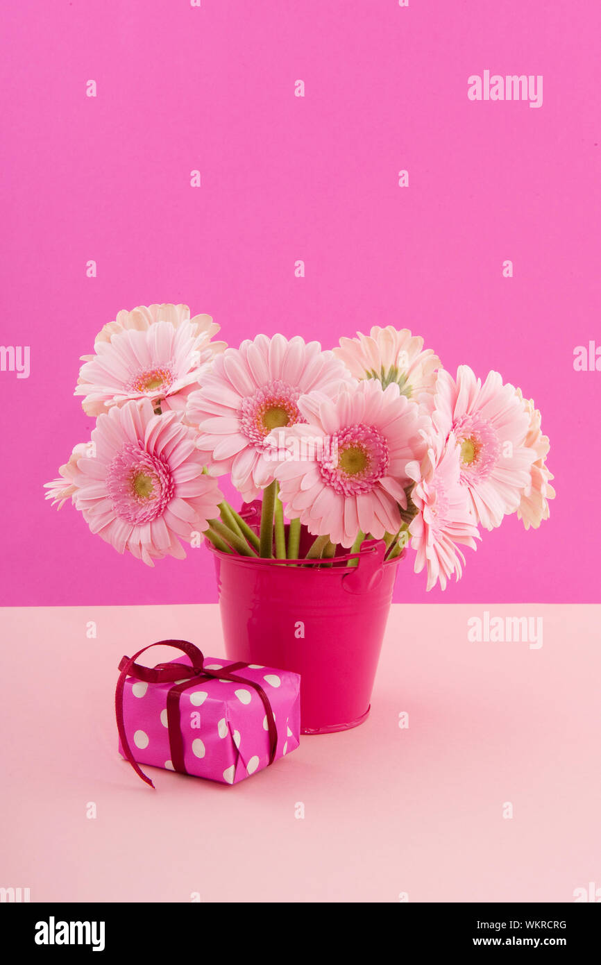 Anniversaire bouquet rose avec Gerber et présent Banque D'Images