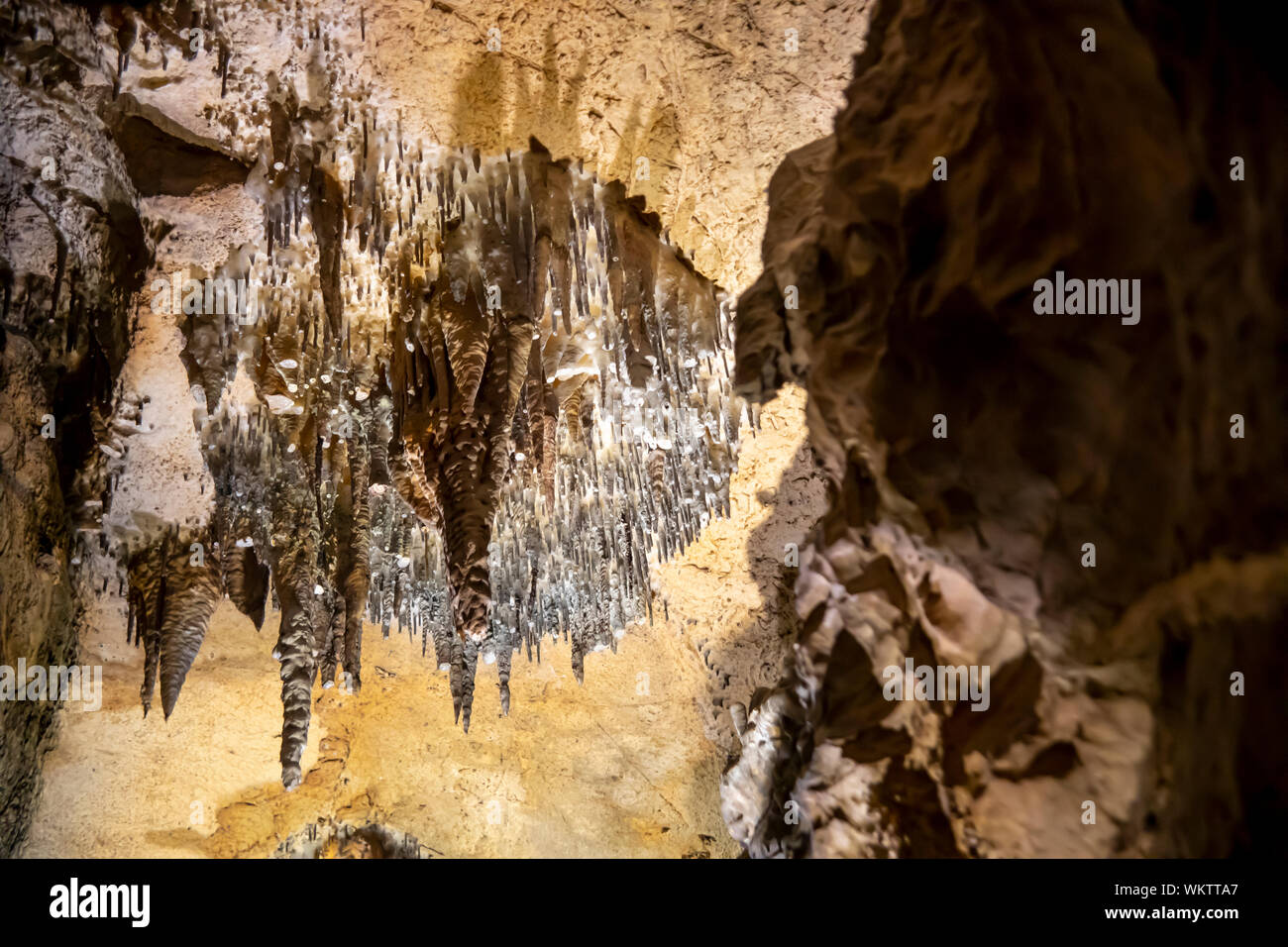 Close up de stalactite formations minérales sur l'intérieur de grottes. Banque D'Images