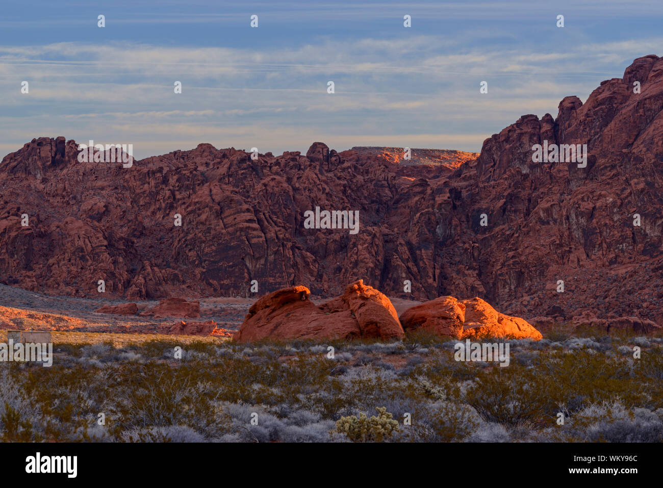 Red Rock altéré dans l'Atlatl Rock, Vallée de Feu Park, Nevada, USA Banque D'Images