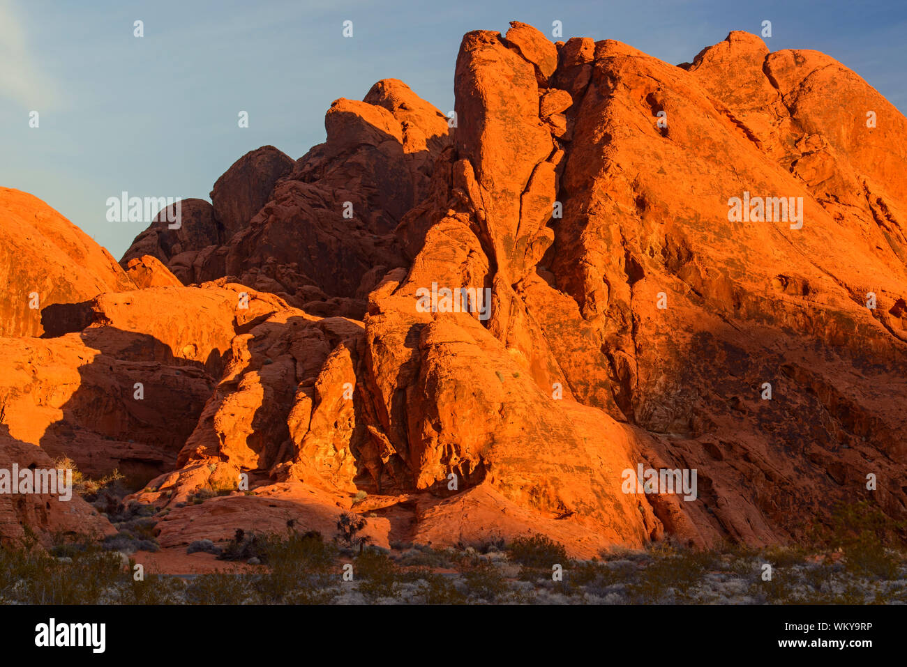 Red Rock altéré dans l'Atlatl Rock, Vallée de Feu Park, Nevada, USA Banque D'Images