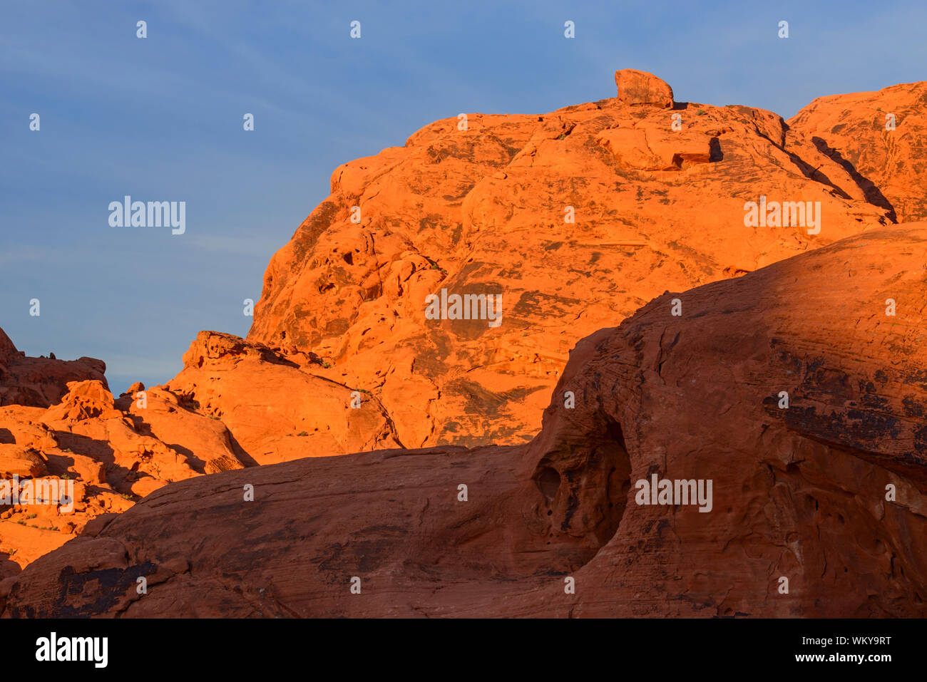 Red Rock altéré dans l'Atlatl Rock, Vallée de Feu Park, Nevada, USA Banque D'Images