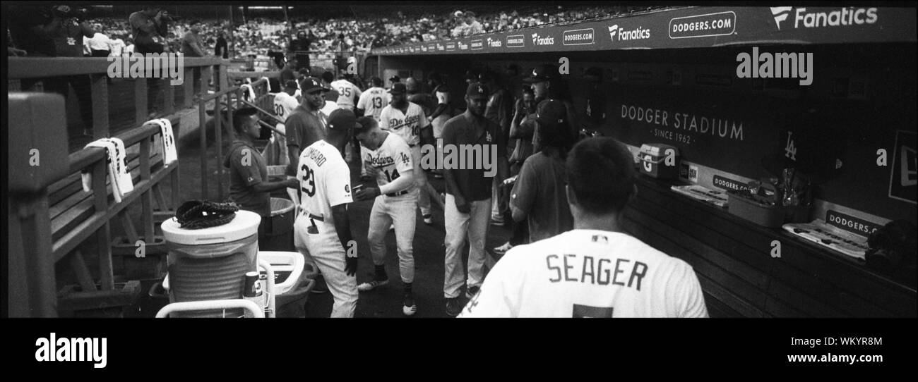 Los Angeles, Californie, USA. 16Th Jun 2019. Les joueurs jouent des Dodgers de Los Angeles, autour de l'étang quelques instants avant le match contre les Blue Jays de Toronto au Dodger Stadium le 22 août 2019 à Los Angeles, Californie.Armando Armando Arorizo Arorizo : Crédit/Prensa Internacional/ZUMA/Alamy Fil Live News Banque D'Images