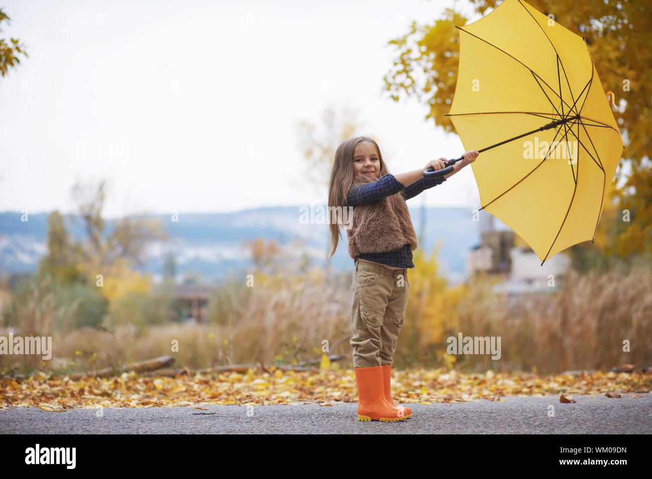 Automne Banque D'Images