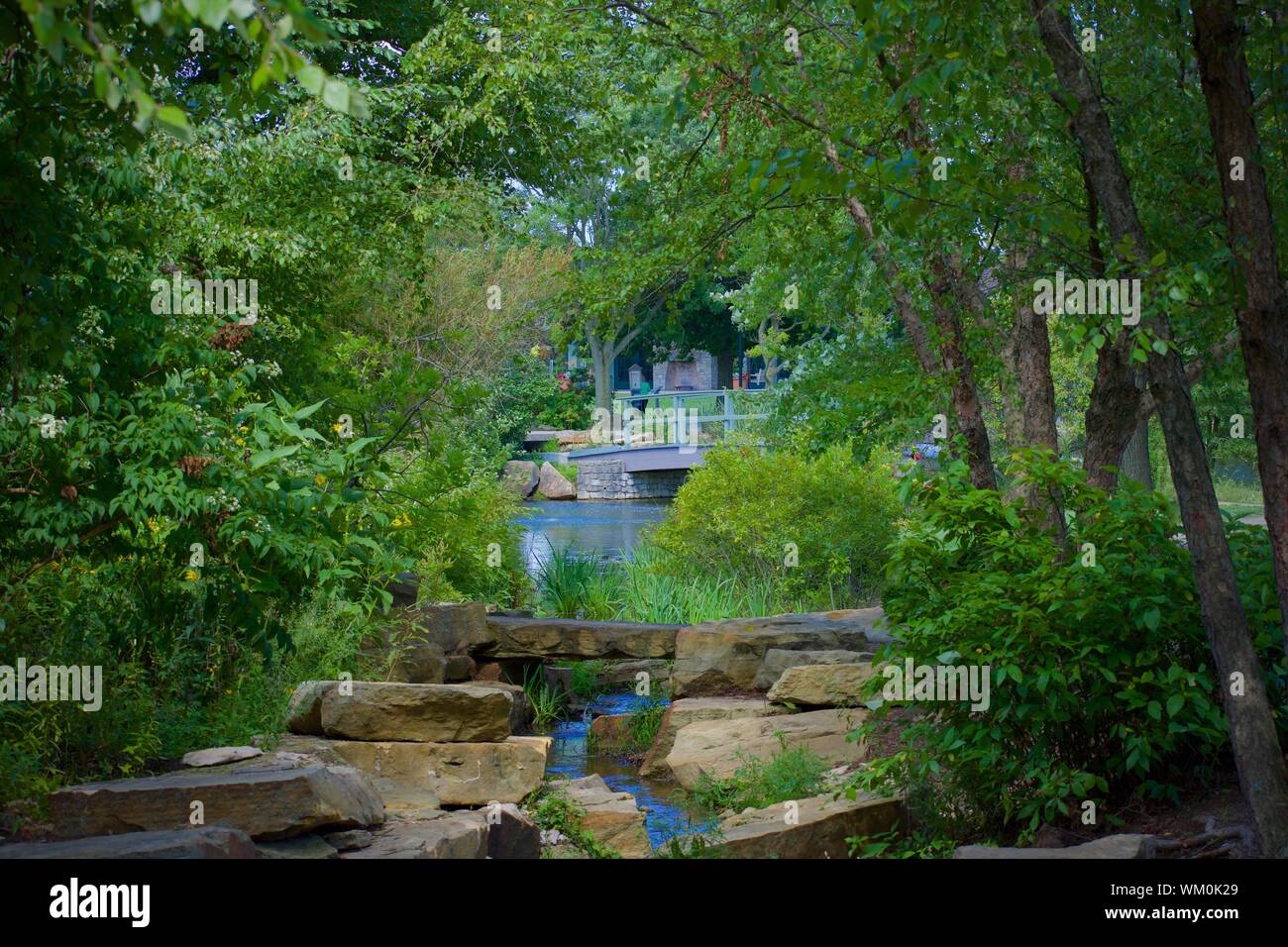 Parc paisible scène avec une petite cascade et des arbres verts. Bridge en arrière-plan Banque D'Images