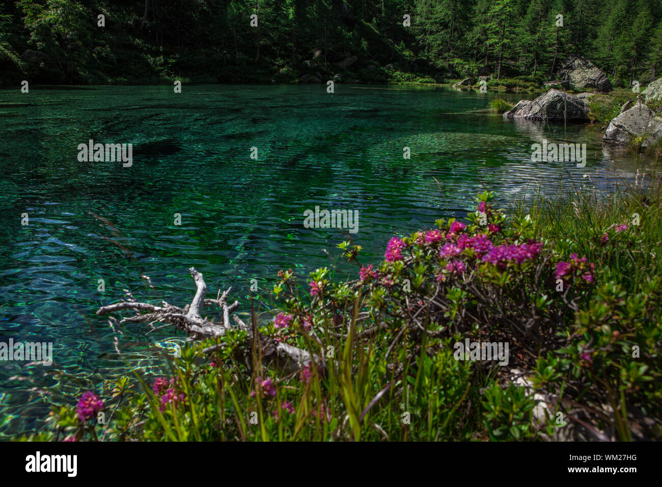 Vue panoramique du lac à Alpe Devero Parc Naturel Banque D'Images