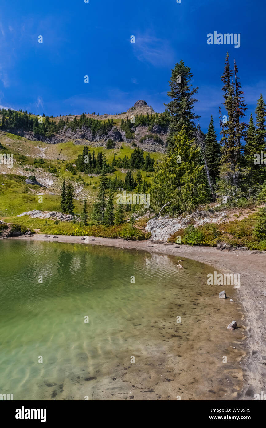 Étang le long de la Pacific Crest Trail combiné et Naches Sentier en boucle de pointe dans l'O, William Douglas Désert de la forêt nationale de Wenatchee, WASHINGTON S Banque D'Images