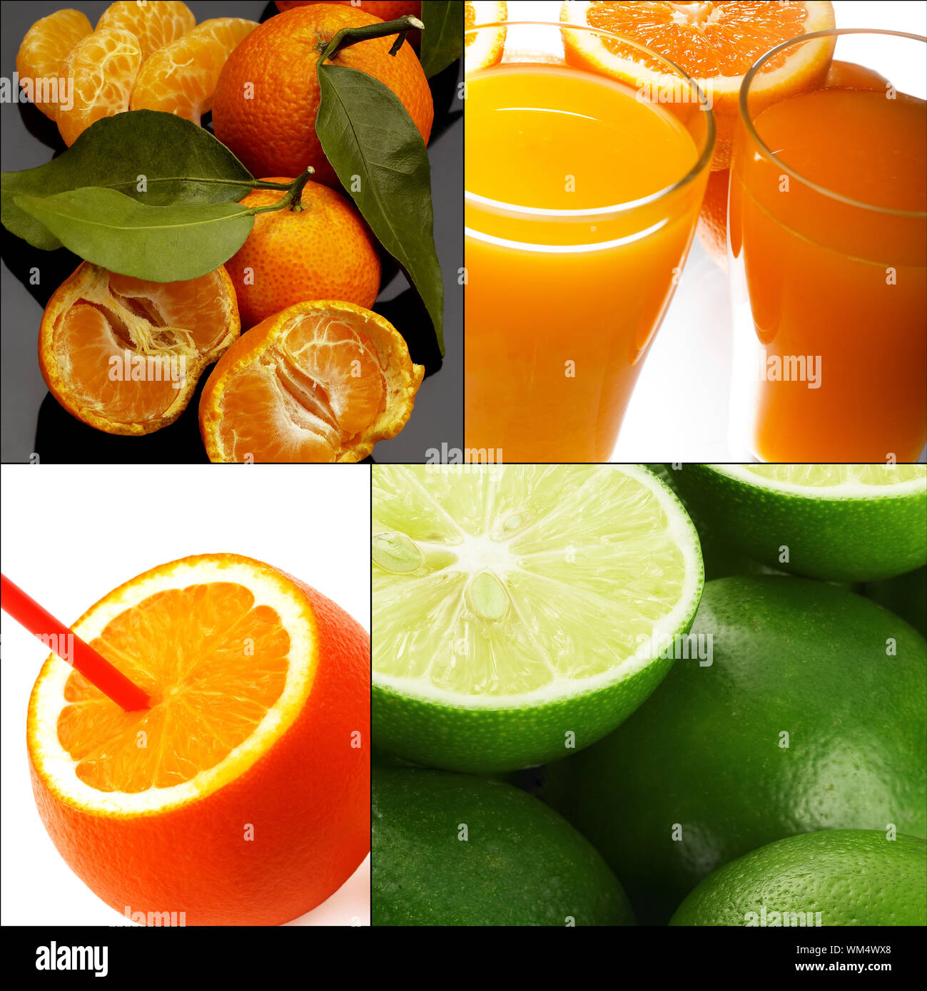 Collage des agrumes Banque D'Images
