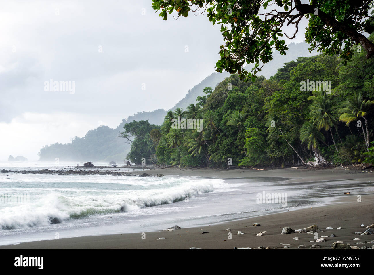 L'écart, plage vide et à la jungle du Parc national Corcovado, Costa Rica Banque D'Images