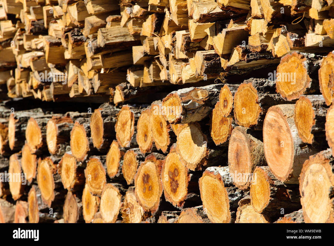 De bois de chauffage empilé Banque D'Images