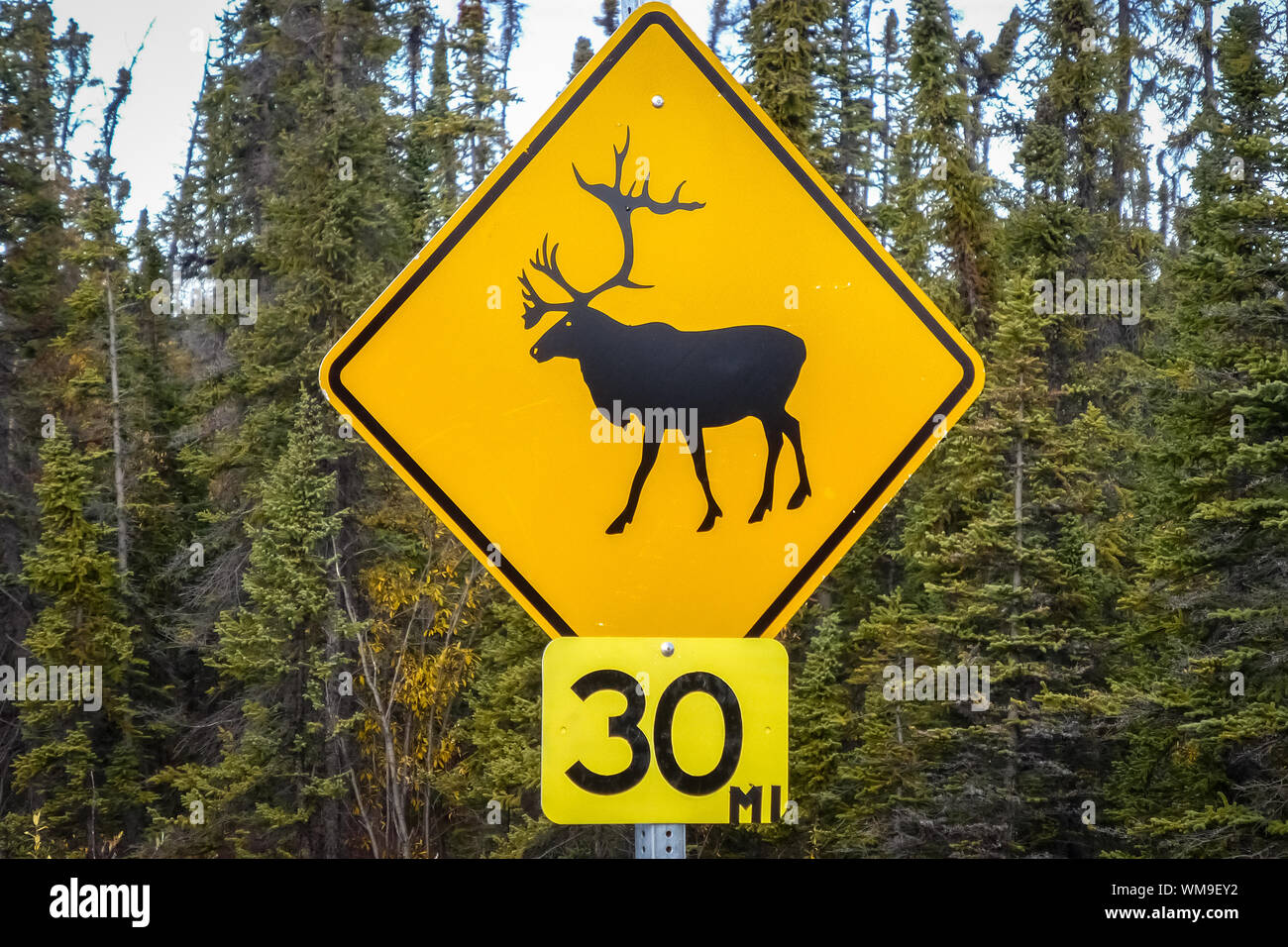 Panneau routier Caribou Crossing, Richardson Highway, Alaska Banque D'Images