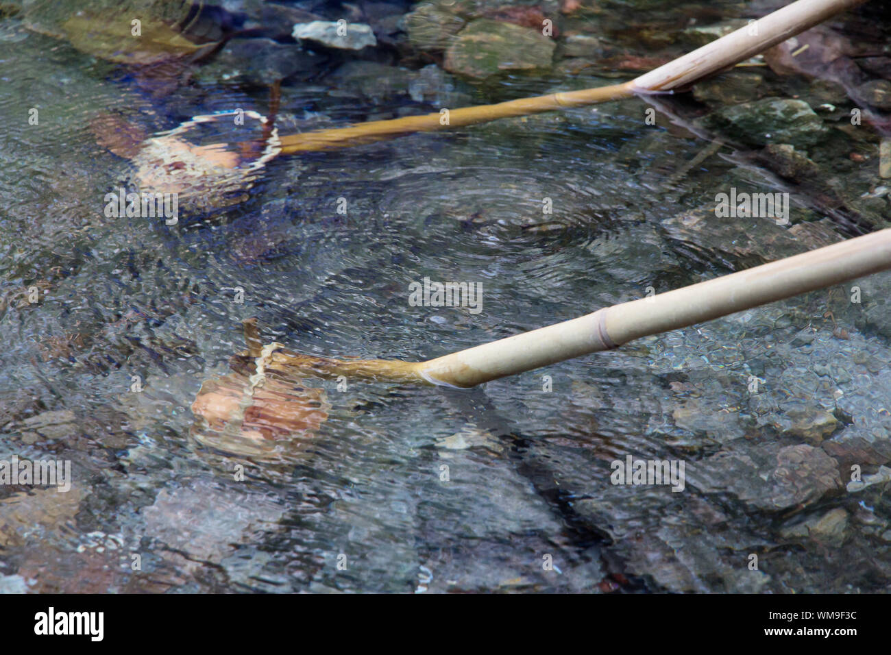 Oeuf bouilli Banque D'Images