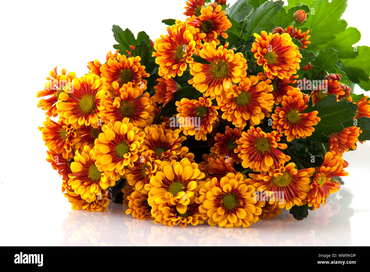 Les fleuristes orange marron daisy bouquet isolated over white Banque D'Images