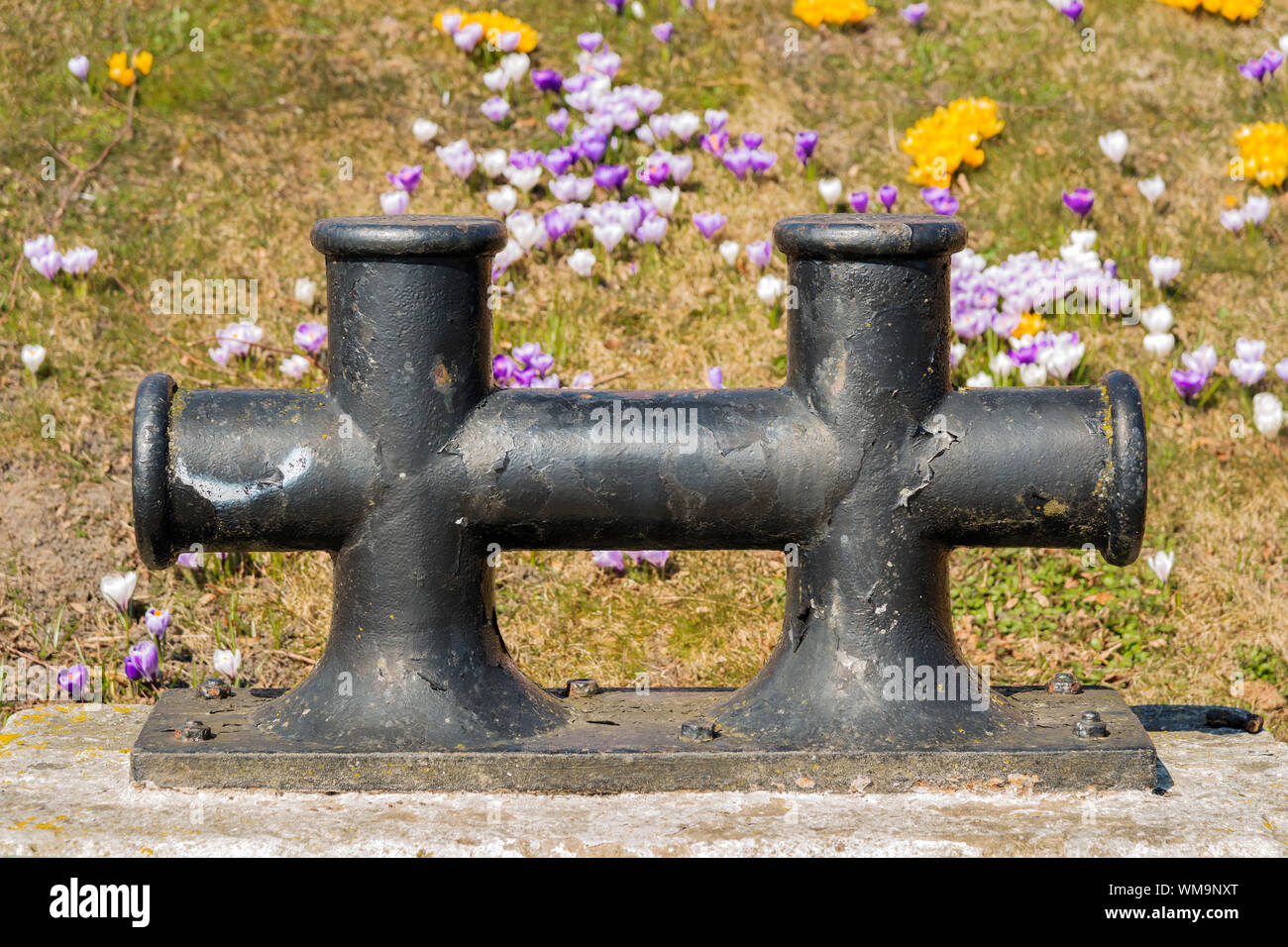 Image d'un bollard double dans le Nord de l'Allemagne Banque D'Images