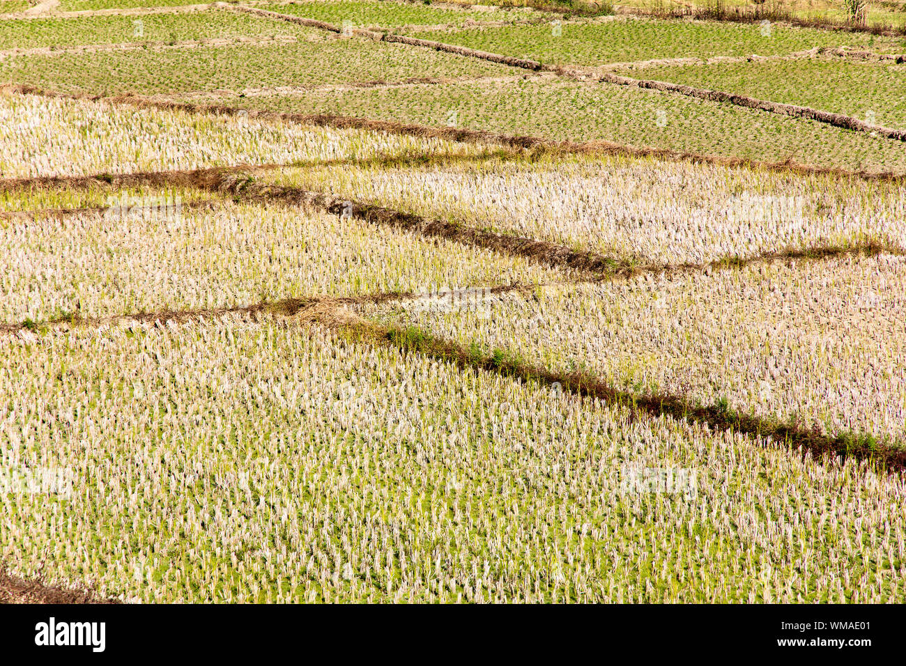 Domaine rural Banque D'Images