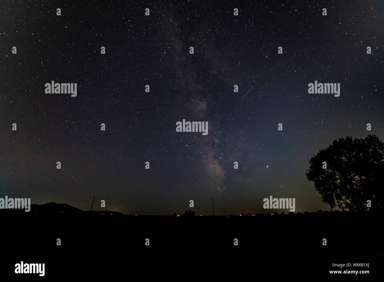 La Voie Lactée sur une silhouette noire d'horizon avec un arbre, tourné en septembre. Stars de fond d'écran. Banque D'Images