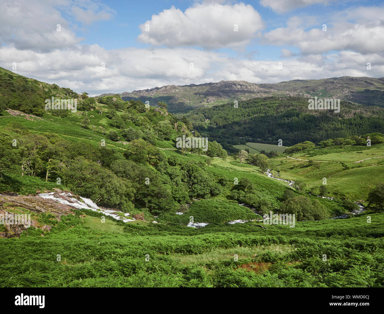 Vue sur le parc national de Snowdonia à partir du chemin avec la rivière Watkin Cwn Llançà en premier plan par un beau jour d'été, Pays de Galles, Royaume-Uni Banque D'Images