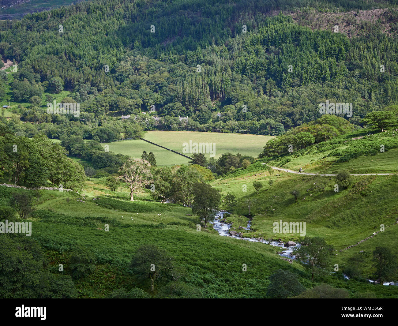 Vue sur le parc national de Snowdonia à partir du chemin avec la rivière Watkin Cwn Llançà en premier plan par un beau jour d'été, Pays de Galles, Royaume-Uni Banque D'Images