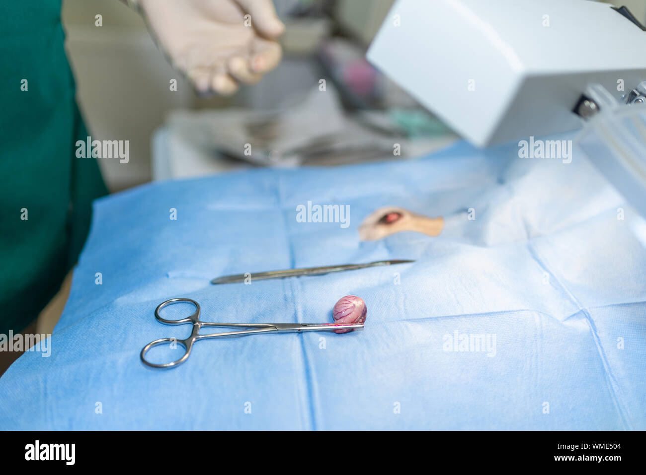 La stérilisation du chien sur les tables d'opérations sous anesthésie générale et médecins vétérinaires. Effectuer la chirurgie vétérinaire stérilisation chien.close up of veter Banque D'Images