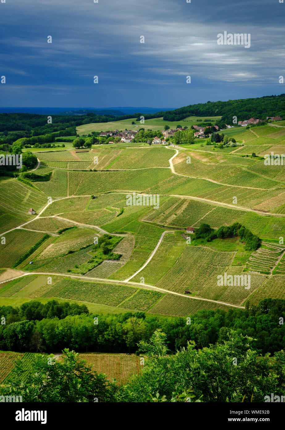 Le vignoble rural campagne paysage de terres agricoles de la région des montagnes de calcaire du Jura Château Chalon, en France Banque D'Images