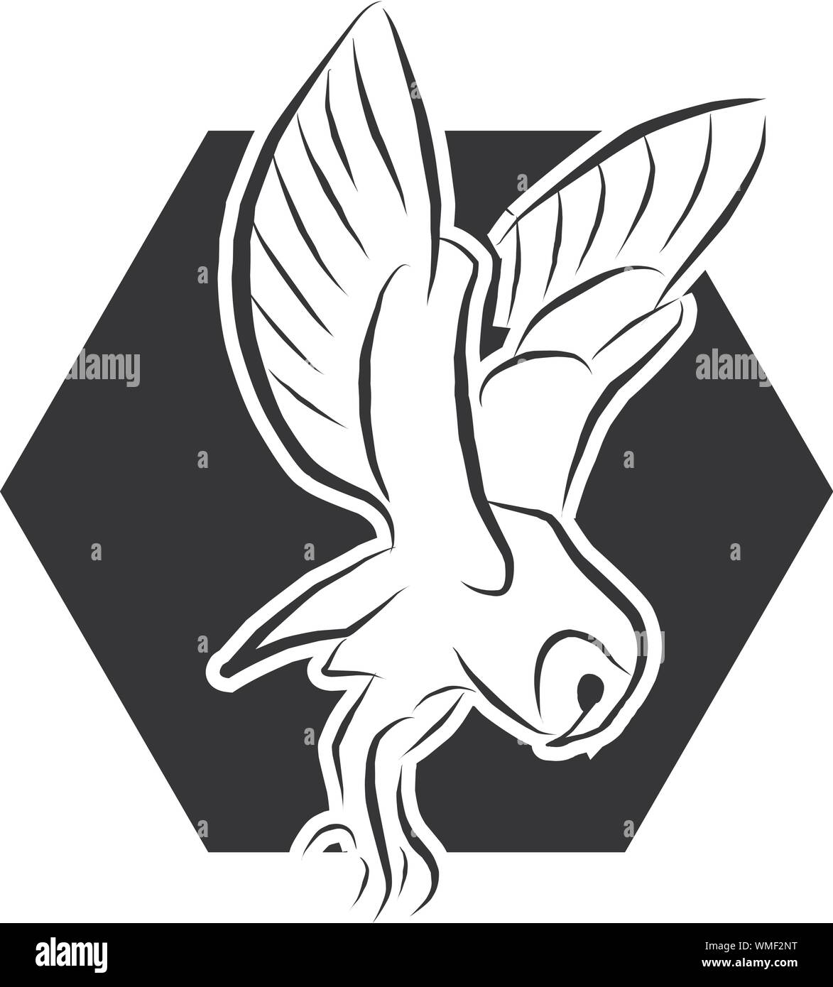 Vector Flying Owl, étendre sa plume. Chouette sur fond hexagonal Illustration de Vecteur