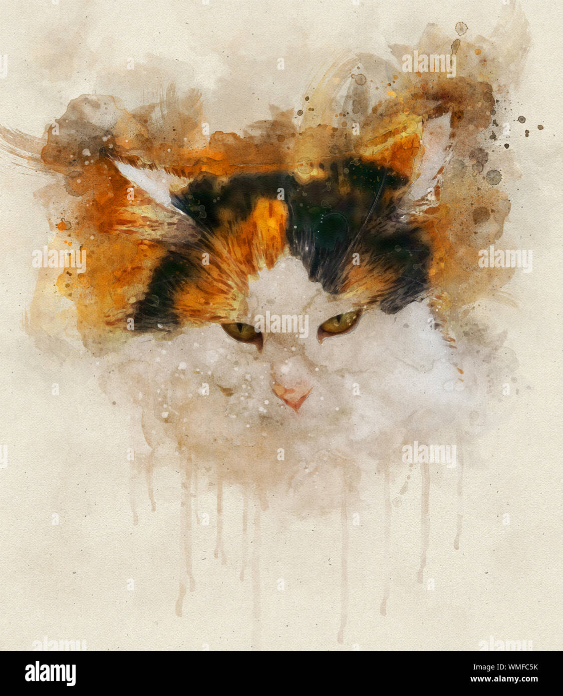 Illustration à l'aquarelle d'un chat calico. Les calicots sont les chats domestiques avec un particolored tachetées ou manteau qui est principalement blanc, avec des correctifs o Banque D'Images