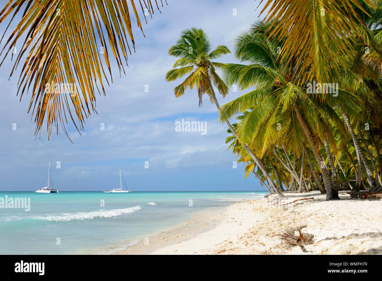 Palm Beach, île de Isla Saona, Parque Nacional del Este, la République dominicaine, Caraïbes, Amérique Latine Banque D'Images