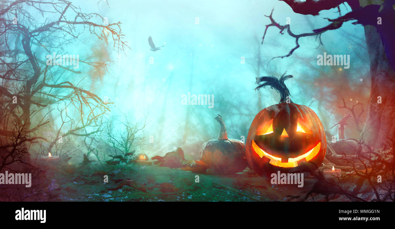 Arrière-plan de l'Halloween. Citrouilles effrayantes et sombre forêt. Toile d'halloween avec Jack O' Lantern Banque D'Images