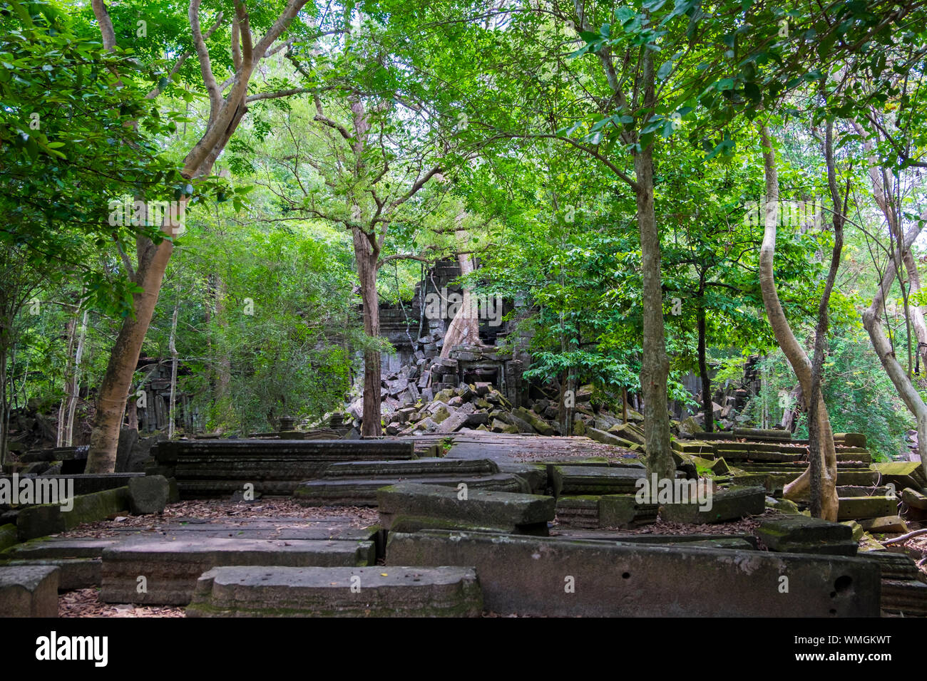 Broken étapes menant à l'une des entrées de Beng Meala bloqués à Angkor à Siem Reap, Cambodge. Banque D'Images