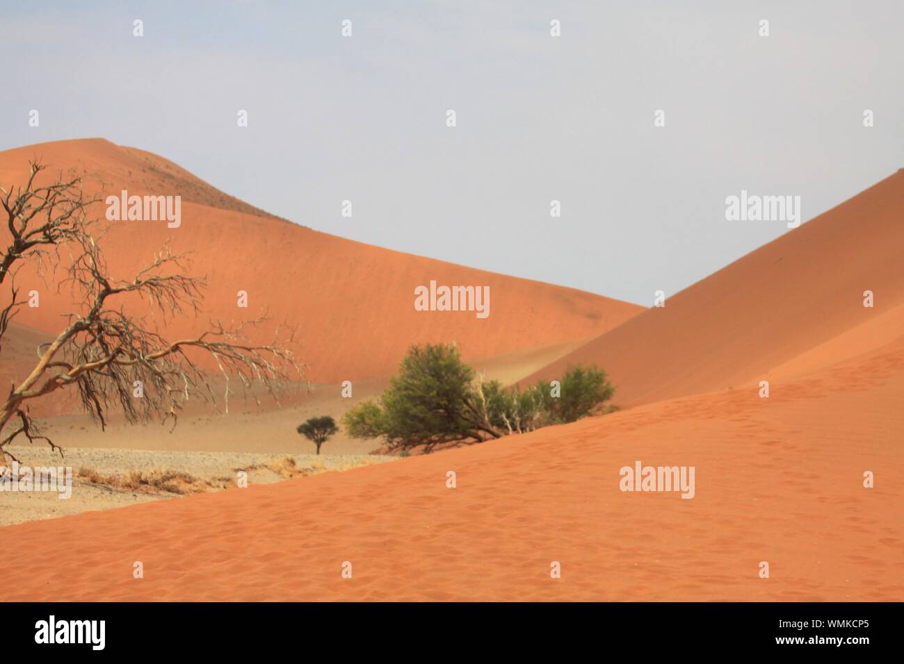 Deadvlei, Namibie Banque D'Images