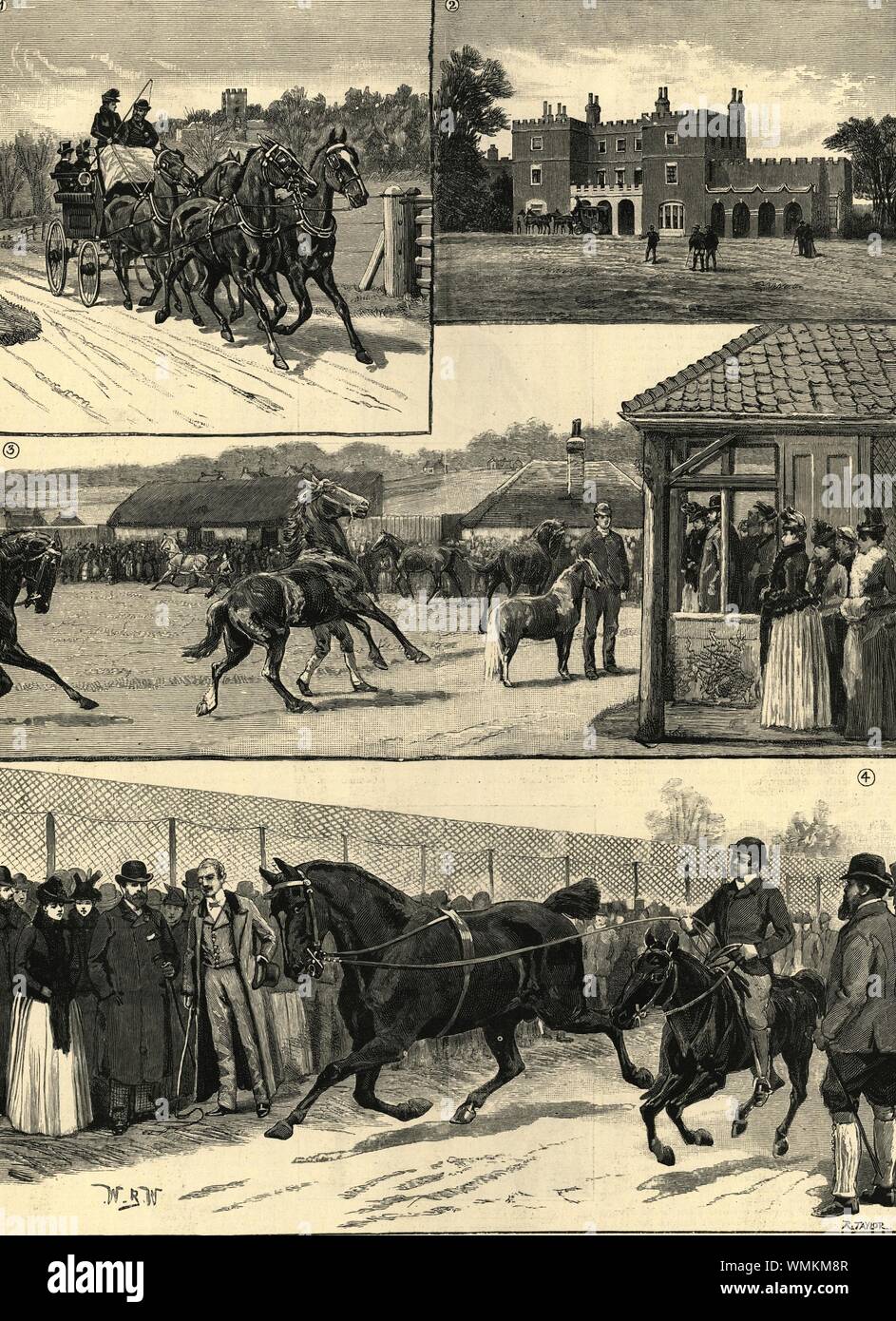 Walter Gilbey's stud de shire chevaux à Elsenham Hall, Essex. Lord Brooke 1889 Banque D'Images