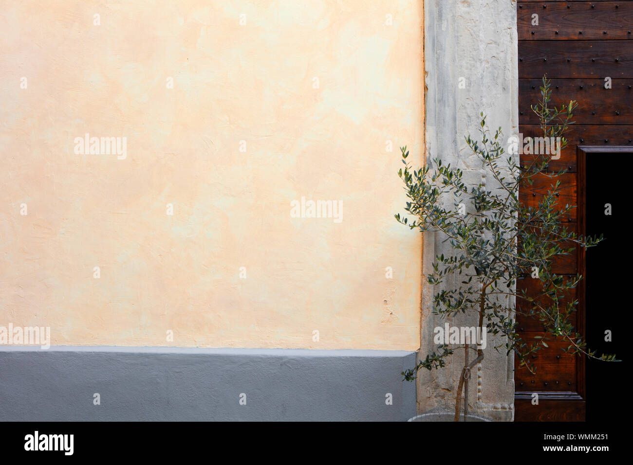 Un mur jaune pâle encadré par une bordure en pierre grise et le cadre de la porte et une porte en bois, à droite. En face est un petit arbre d'olive. Banque D'Images