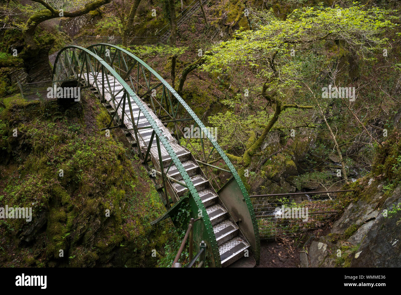 Devil's Bridge Falls, au Pays de Galles. Une attraction touristique bien connue près de Aberystwyth au milieu du Pays de Galles. Passerelle sur la rivière Mynach. Banque D'Images