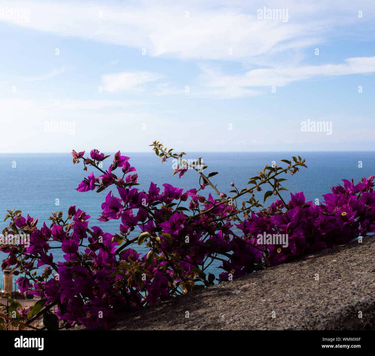 Paysage mer ligurienne avec ciel bleu avec des fleurs violettes amd nuageux Banque D'Images