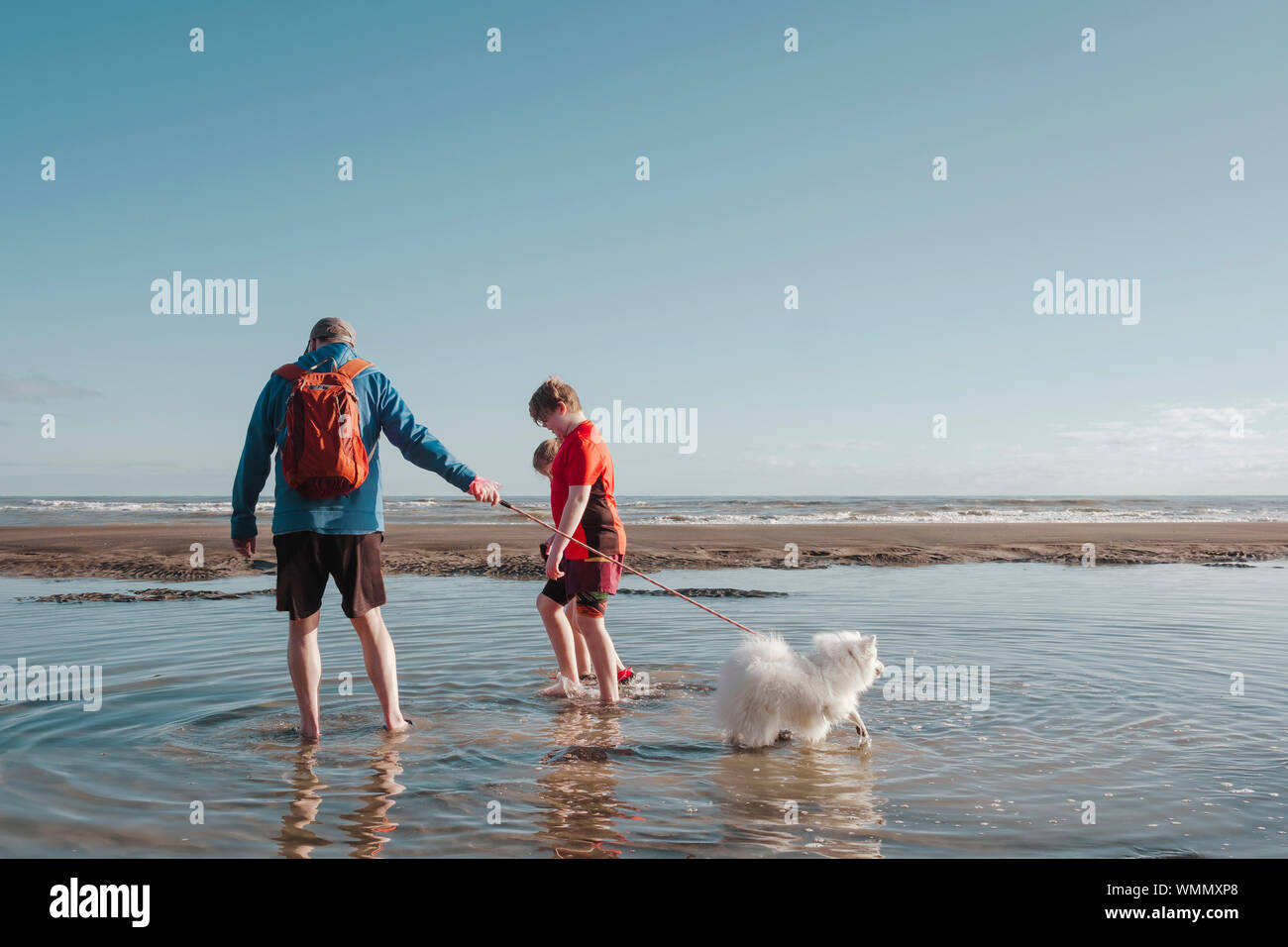 Famille avec petit chien petit chien marche sur la plage Banque D'Images