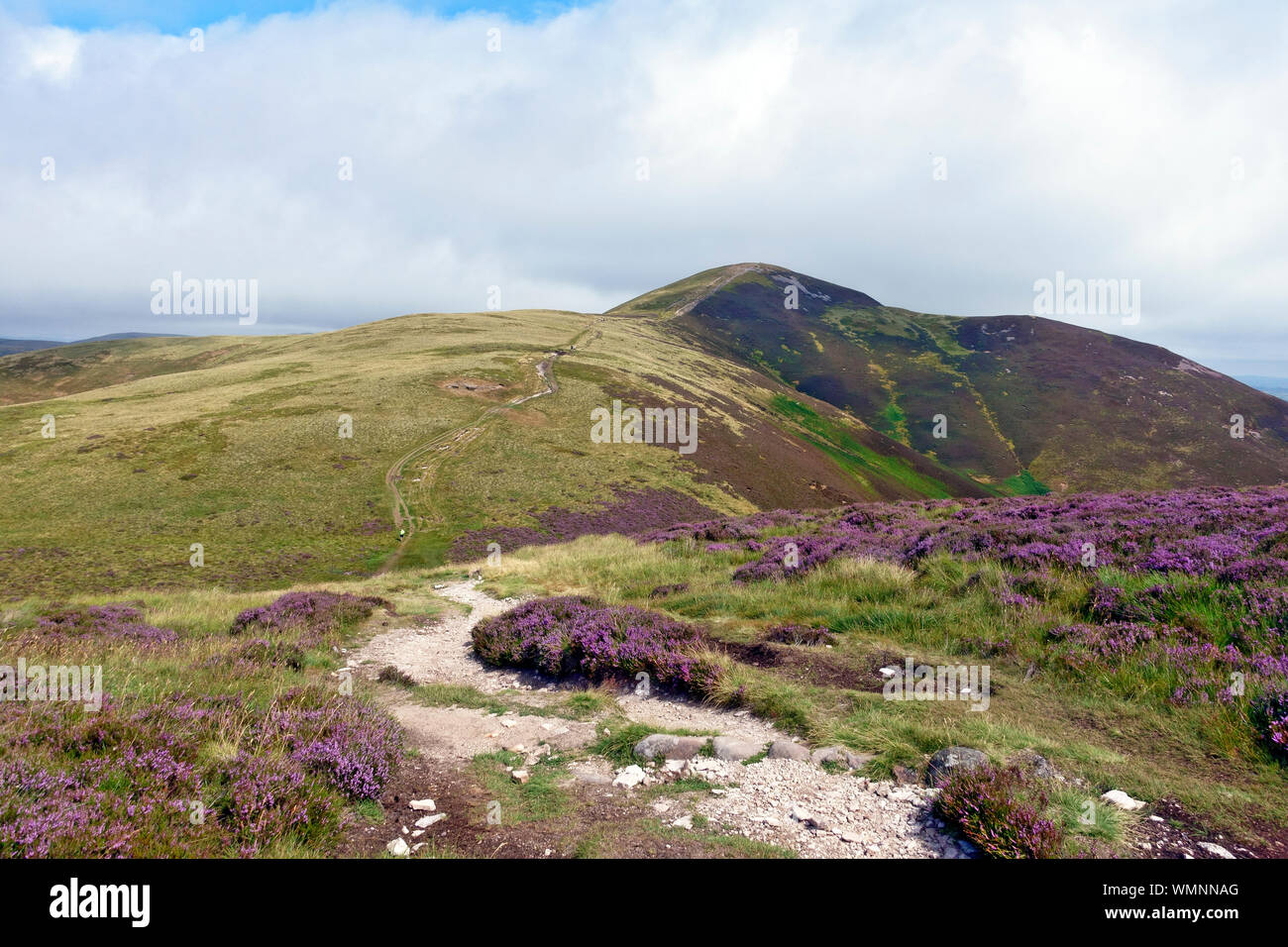 Carnethy Hill, le deuxième plus haut sommet (573m/1880ft) dans les Pentlands près d'Édimbourg, en Écosse et en route à l'échaudage droit qui est derrière l'extérieur de l'affichage Banque D'Images