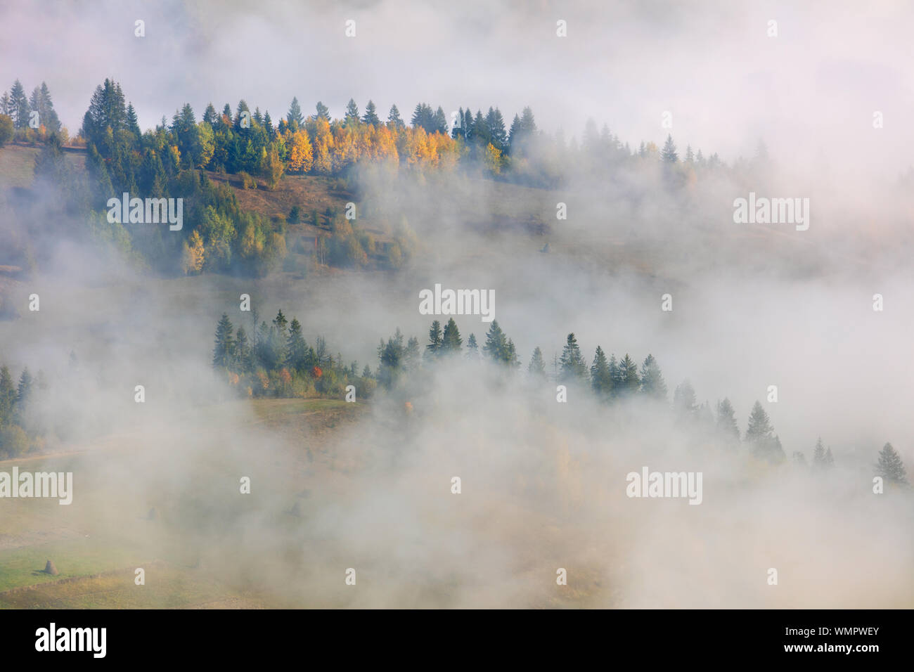 Brouillard dans la vallée de montagnes brumeuses - paysage avec des montagnes, collines en forêt saison automne Banque D'Images