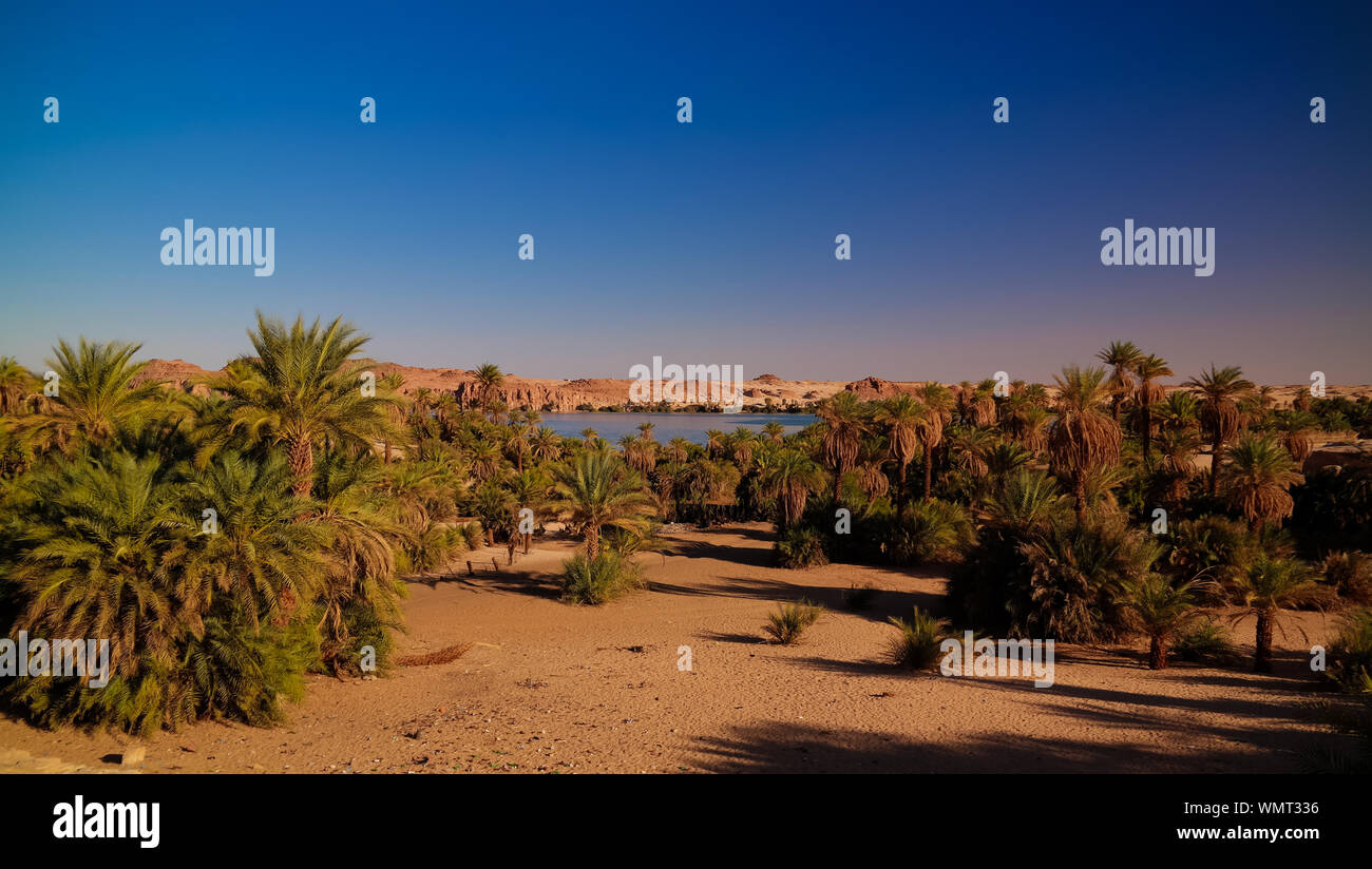 Vue panoramique sur le lac de la LJC group d'Ounianga Kebir lacs , Ennedi, Tchad Banque D'Images