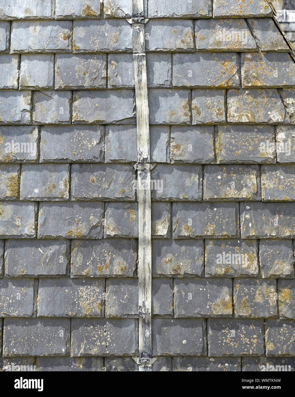 Arrière-plan de tuiles en ardoise sur un vieux toit avec un conducteur de foudre au milieu Banque D'Images
