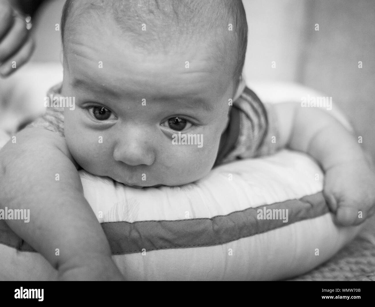 Bébé à plat ventre Banque D'Images