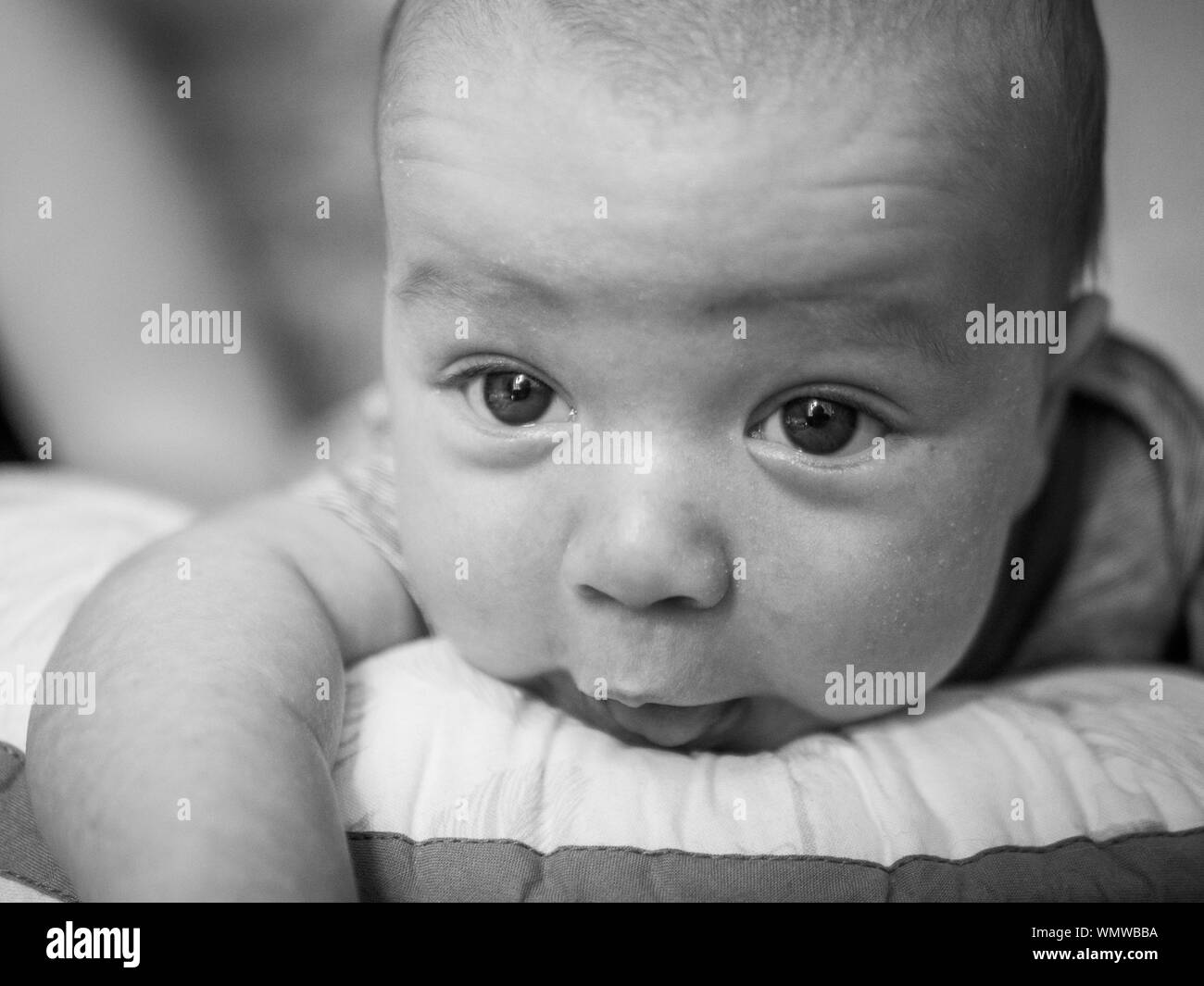 Bébé à plat ventre Banque D'Images