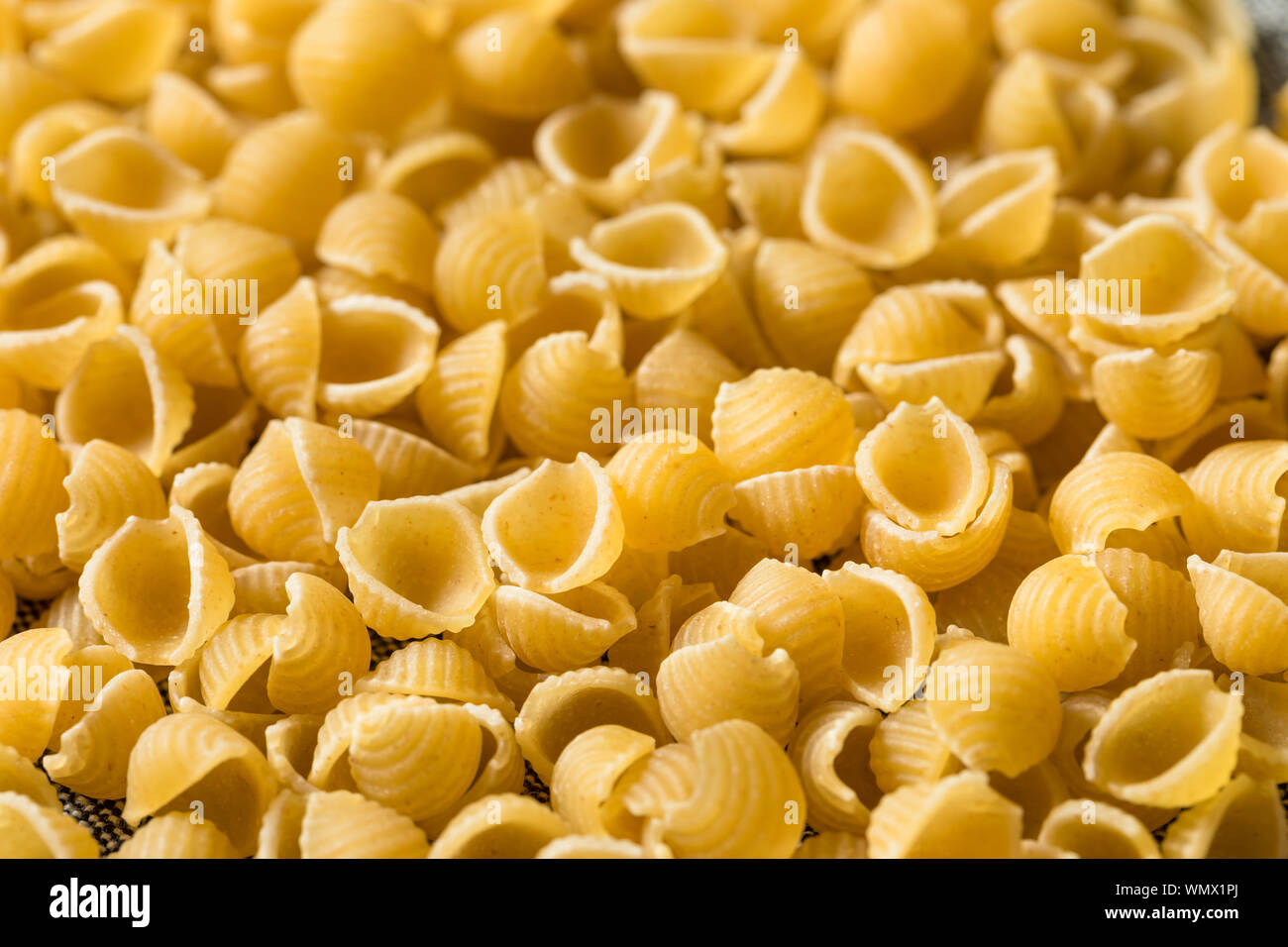 Macaroni organiques secs coquilles dans un tas Banque D'Images