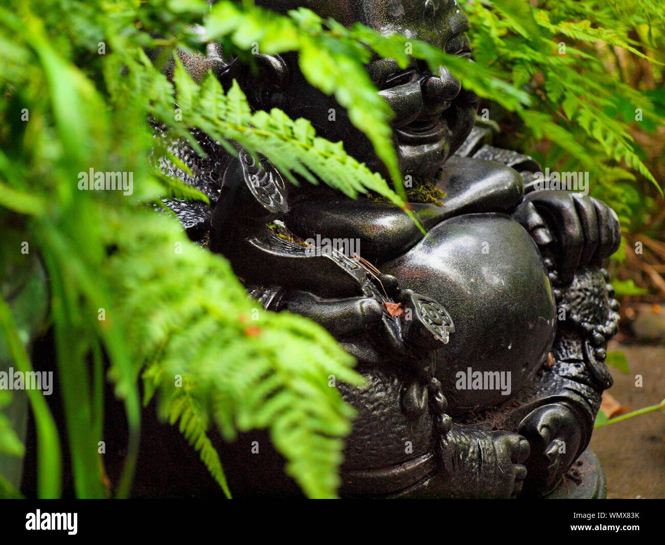 Une photographie avec focus sélectif d'un happy laughing Buddha figure assise dans le feuillage de fougère vert luxuriant. Tourné en plein jour en été Banque D'Images