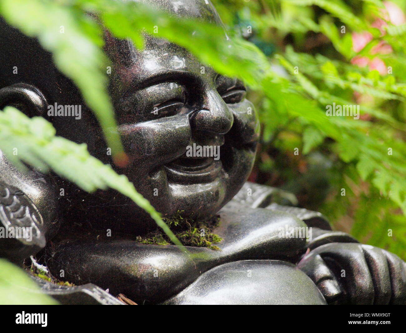 Une photographie avec focus sélectif d'un happy laughing Buddha figure assise dans le feuillage de fougère vert luxuriant. Tourné en plein jour en été Banque D'Images