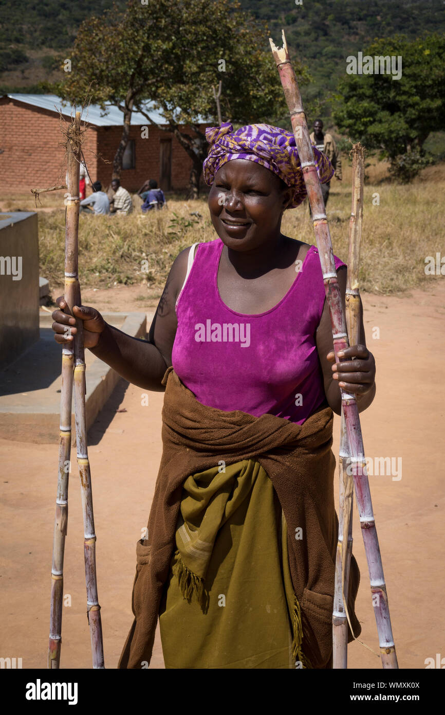 Agriculteur de Malawiens femme violet vif haut contient jusqu'canne à sucre  Photo Stock - Alamy