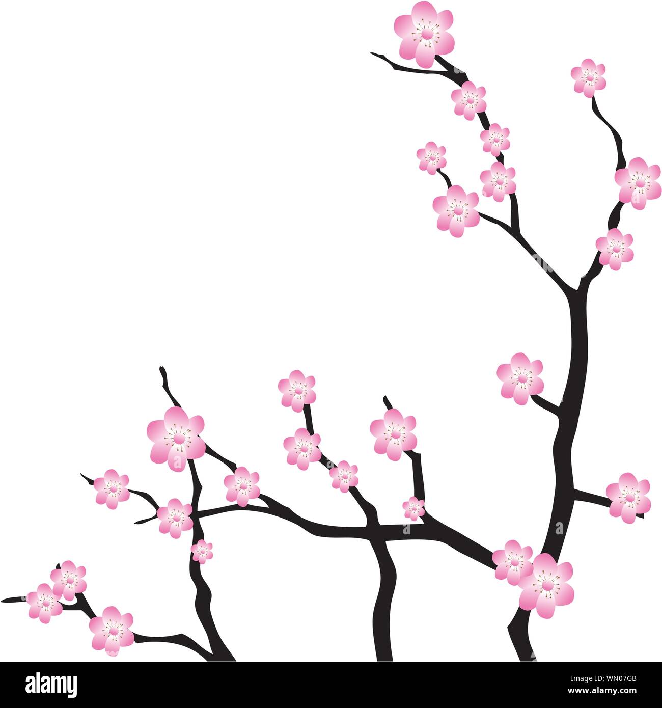 Cherry branch oriental. Vector Illustration Illustration de Vecteur