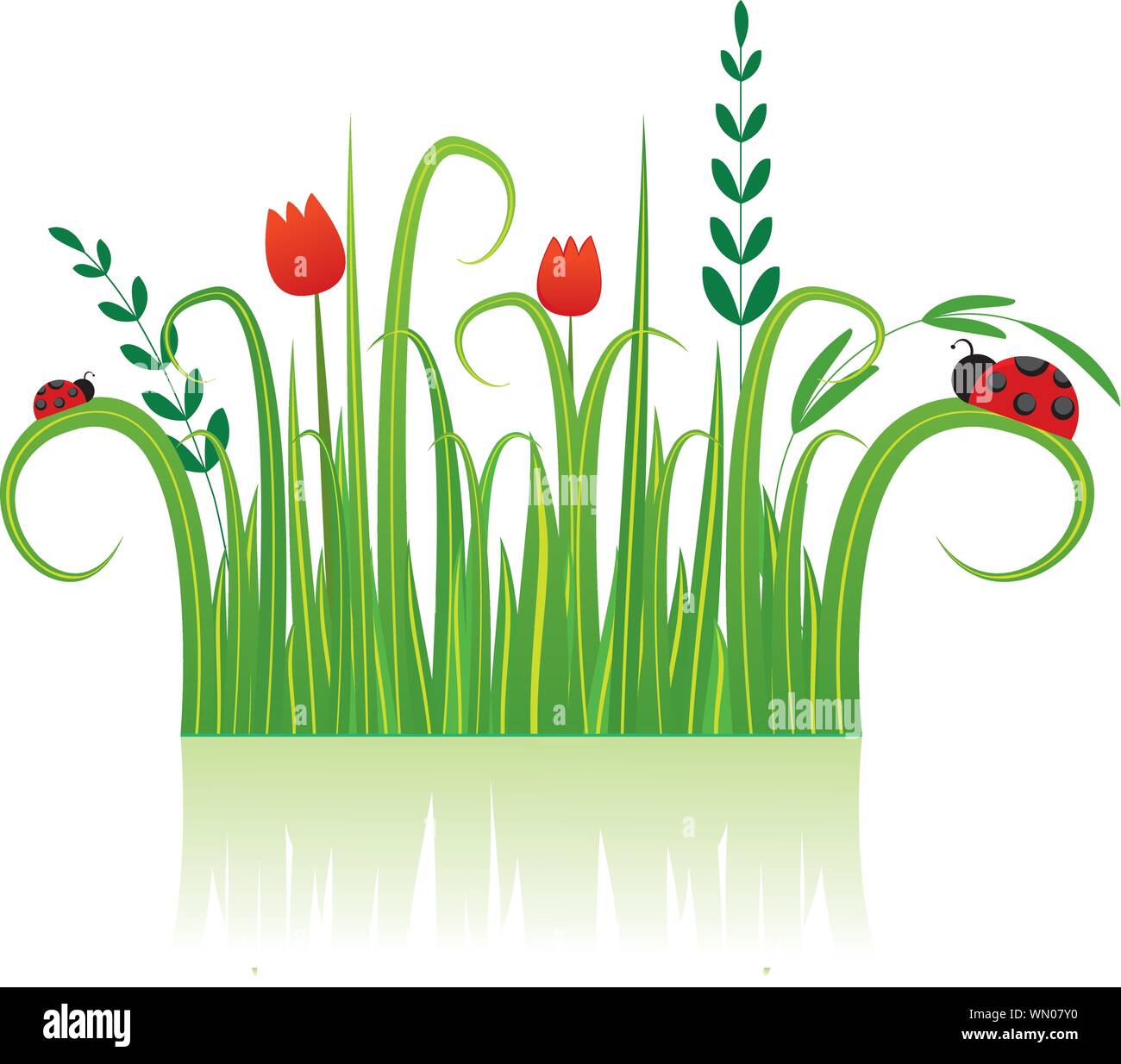 Floral background avec coccinelle. Vector Illustration Illustration de Vecteur