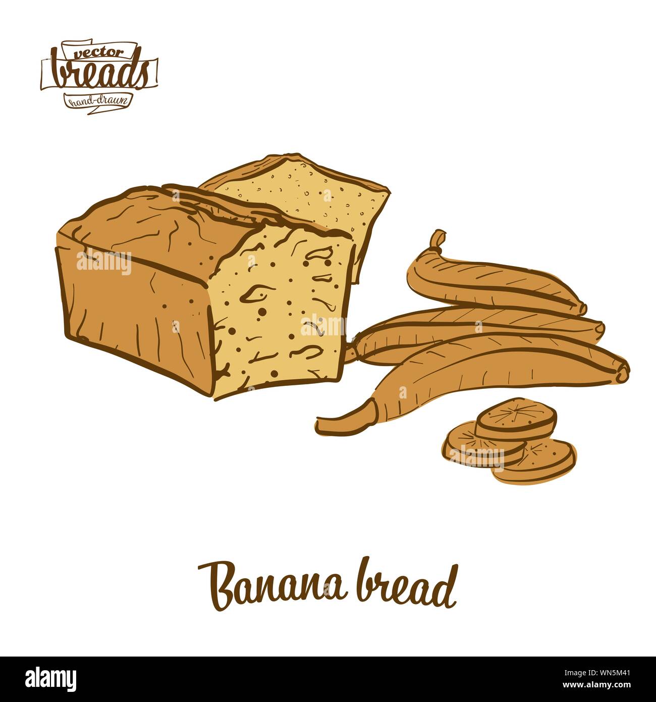 Dessin couleur de pain pain aux bananes. Vector illustration de nourriture pain sucré, généralement connu dans United States. Pain de couleur des croquis. Illustration de Vecteur